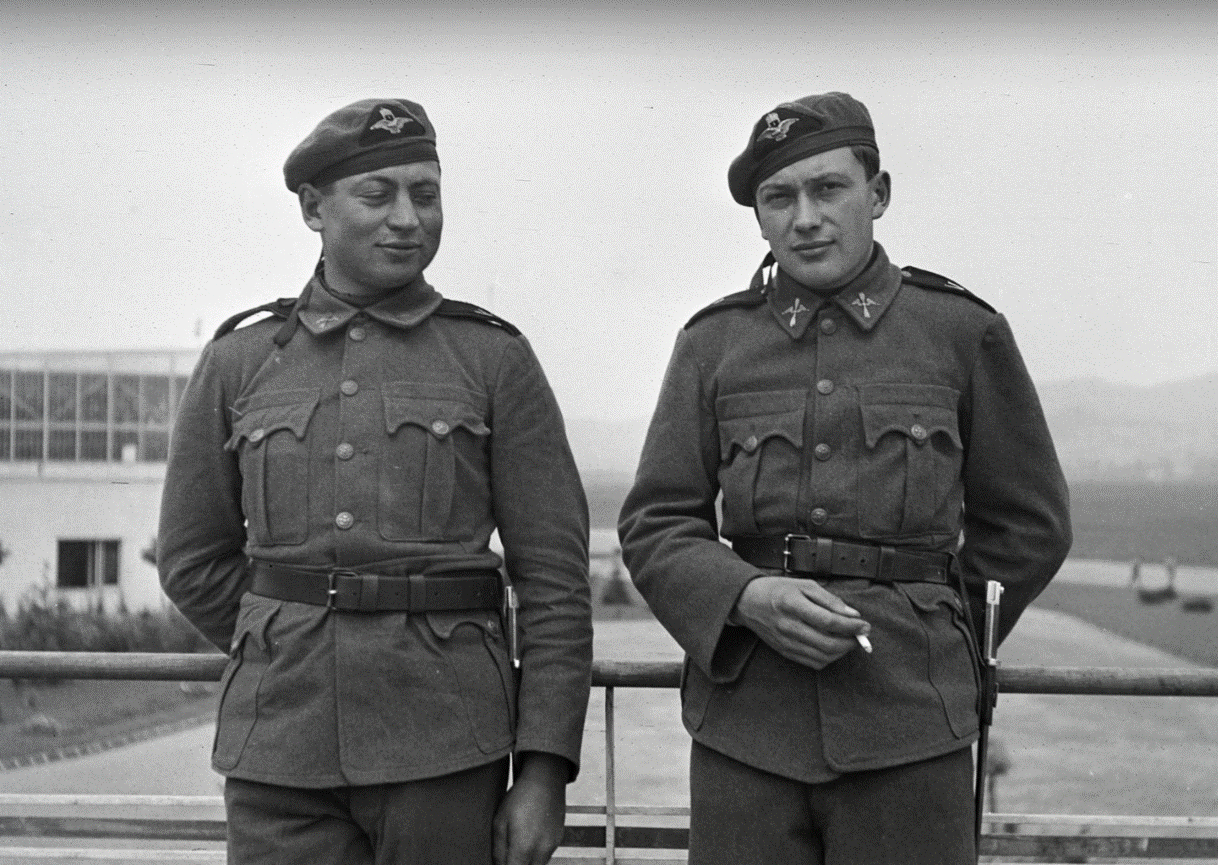 hongrie armée de l'air.gif