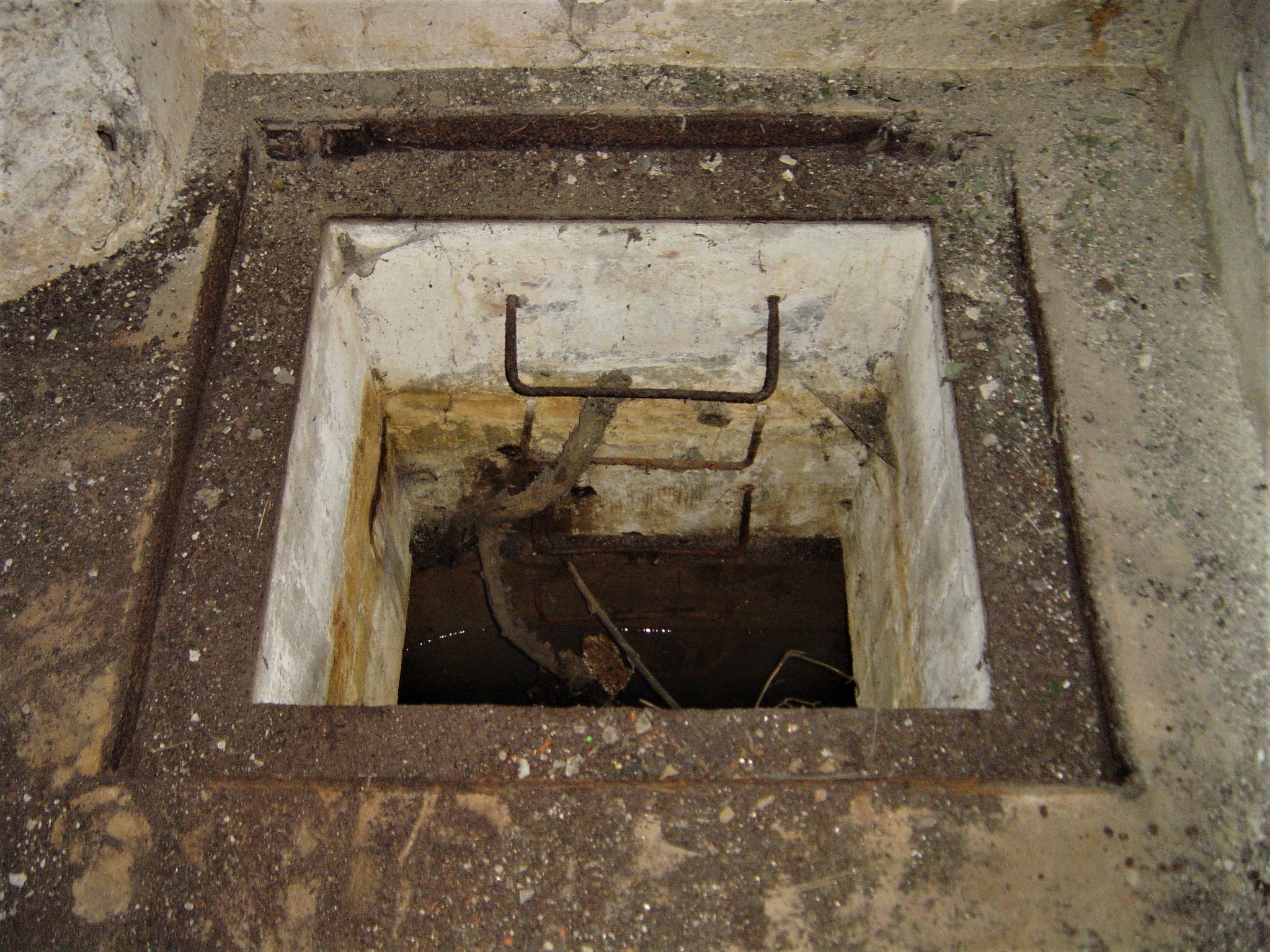 Tu 1_611 trappe fosse à douilles.JPG