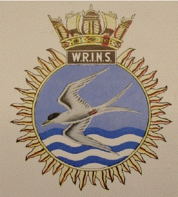 wrins 2.gif