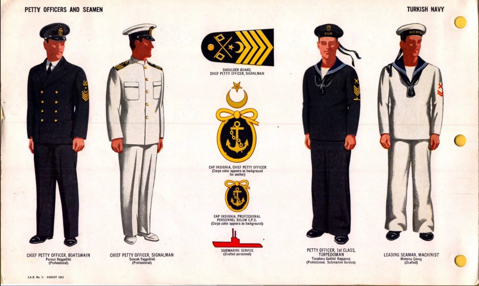 JAN marine turque 3.jpg