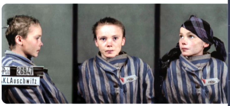 Czesfawa Kwoka 3.png