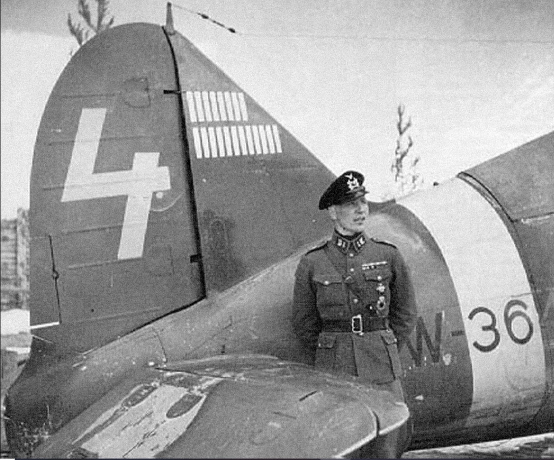 fin markings.jpg