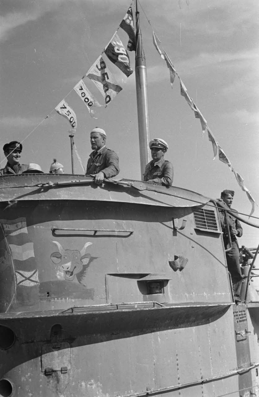 4261402_3_1.jpg