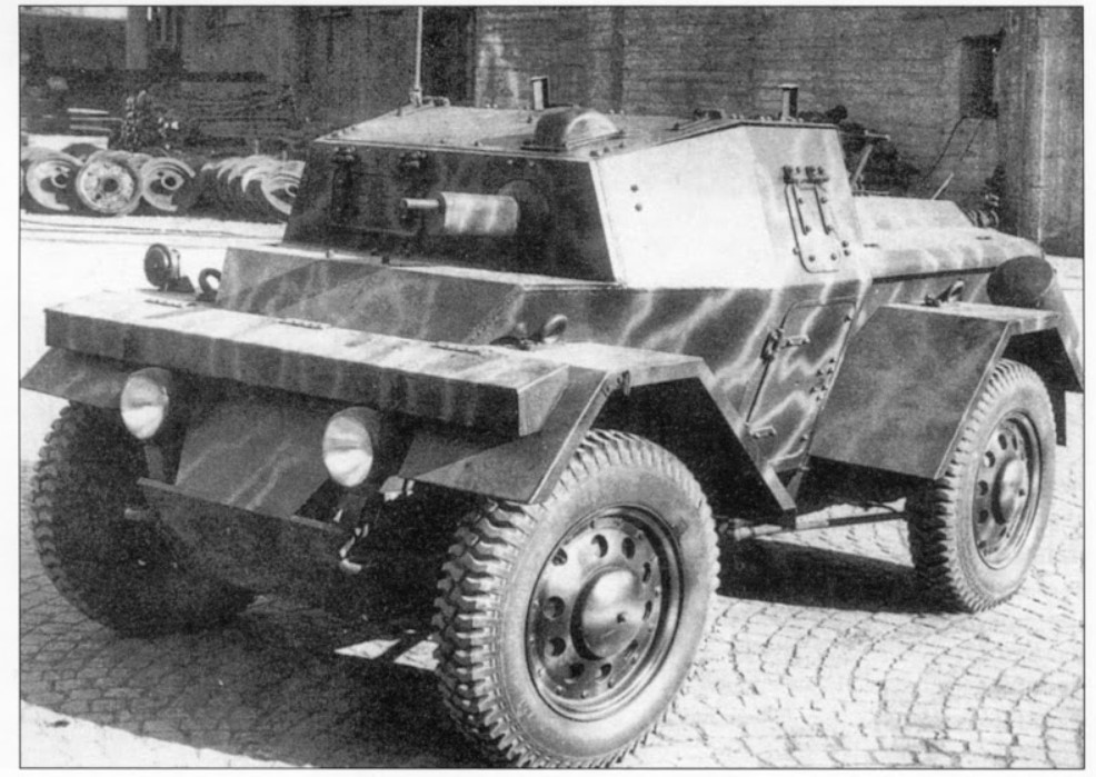 lince 2.jpg