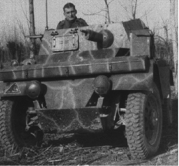 lince 3.jpg
