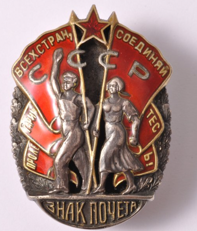 badge of honour.png