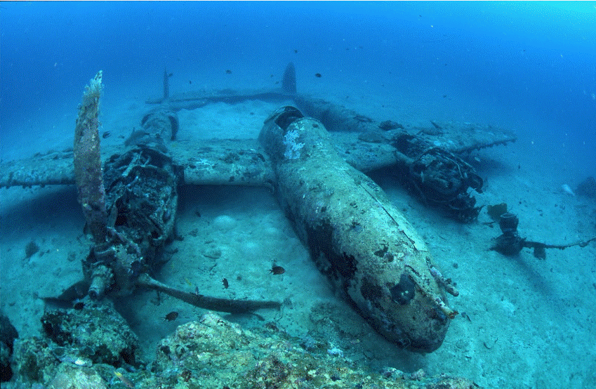 p 38 submergé .gif