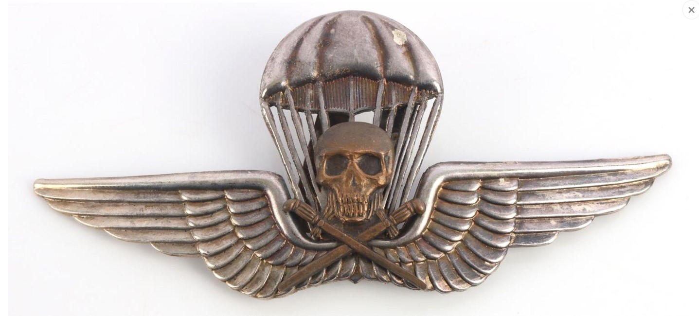 insigne para ww 2.jpg