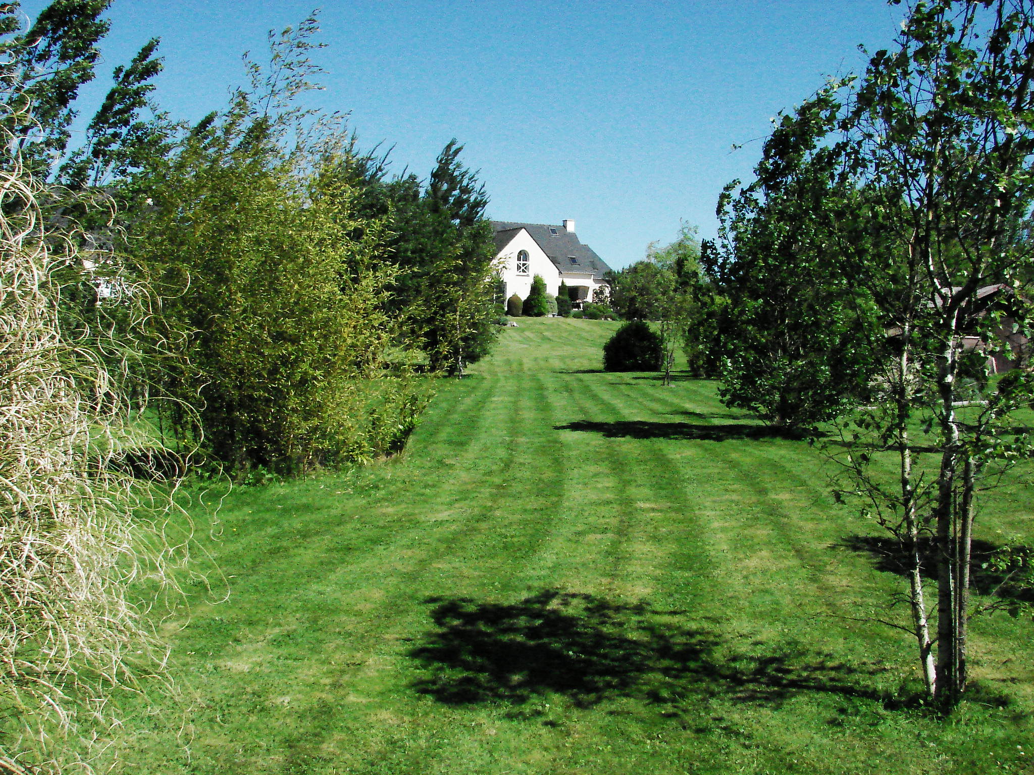 DSC00001 (2).JPG