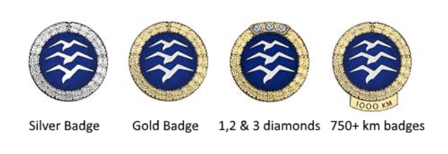 silver gold diamonds.jpg