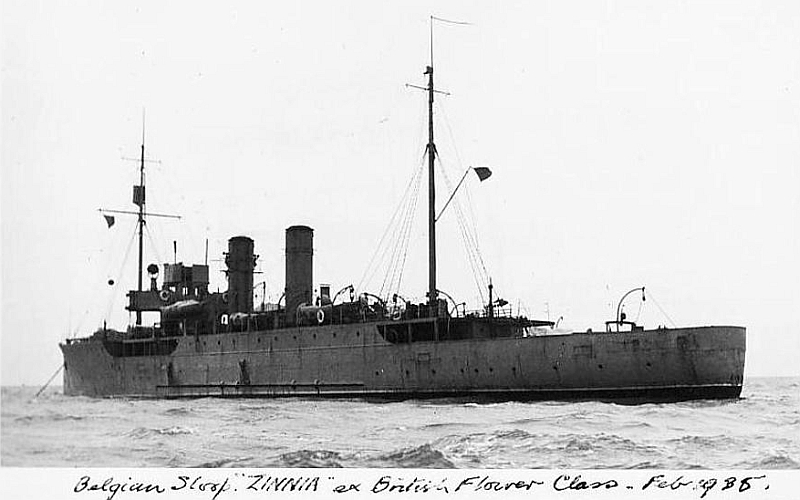ZINNIA 1935 2.jpg