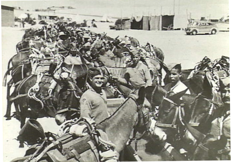 cyprus rgt 1.png