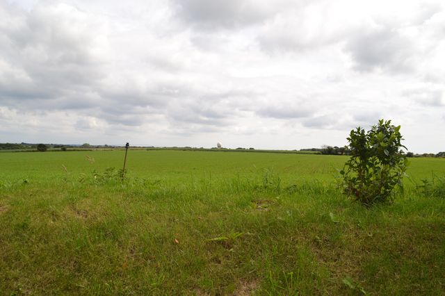 DSC_0013.JPG