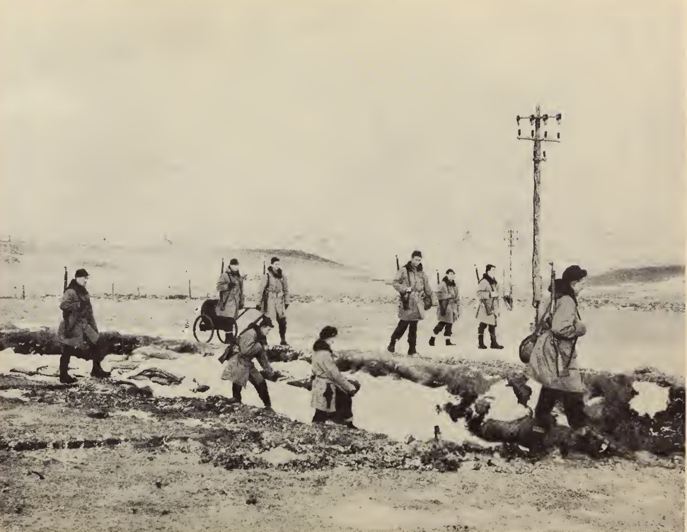 icelande marines 1.jpg