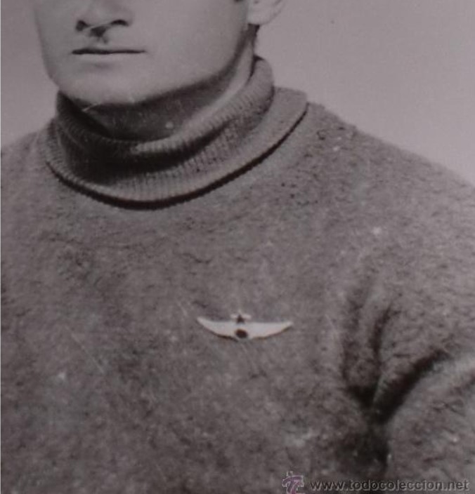esp pilote insigne.jpg