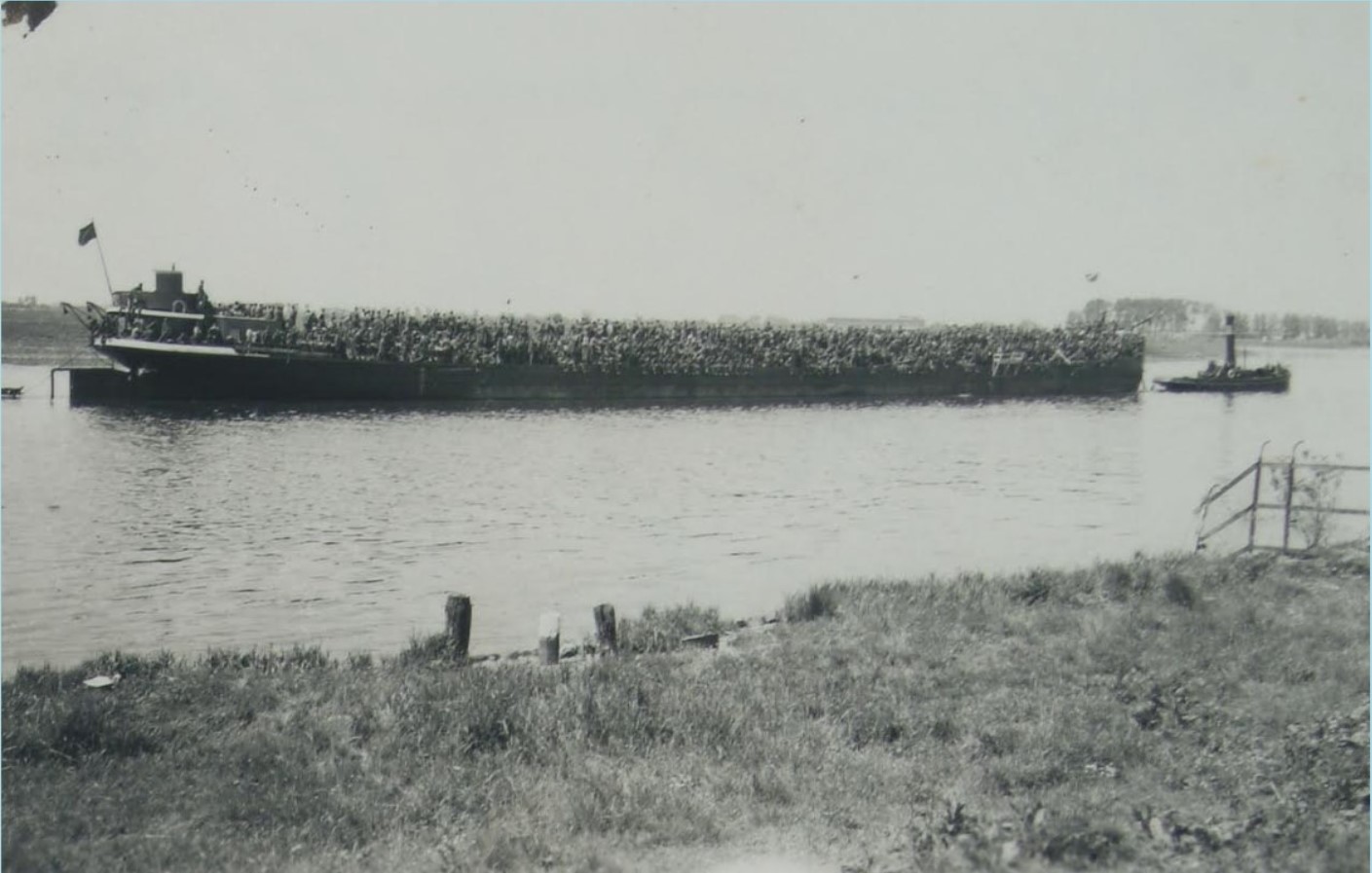 rhénus.jpg