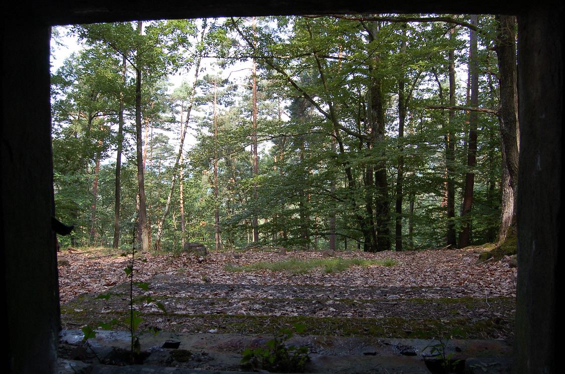 DSC_0727.JPG