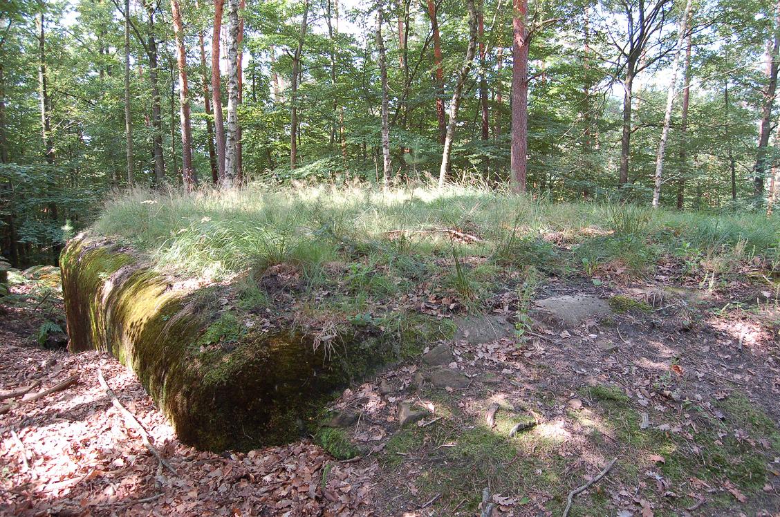 DSC_0732.JPG