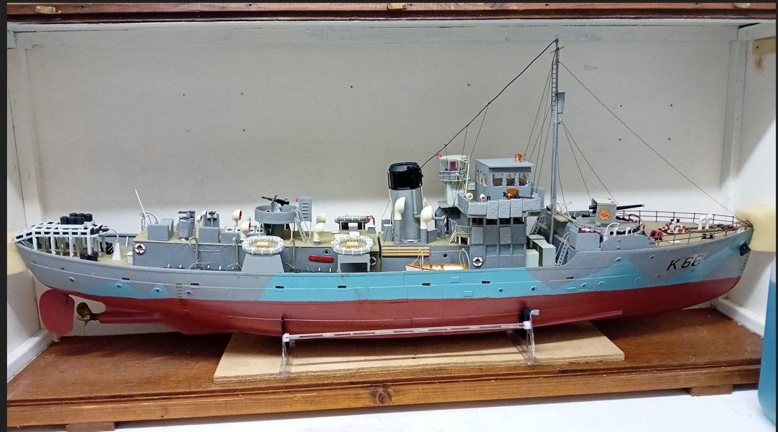 hms begonia.jpg