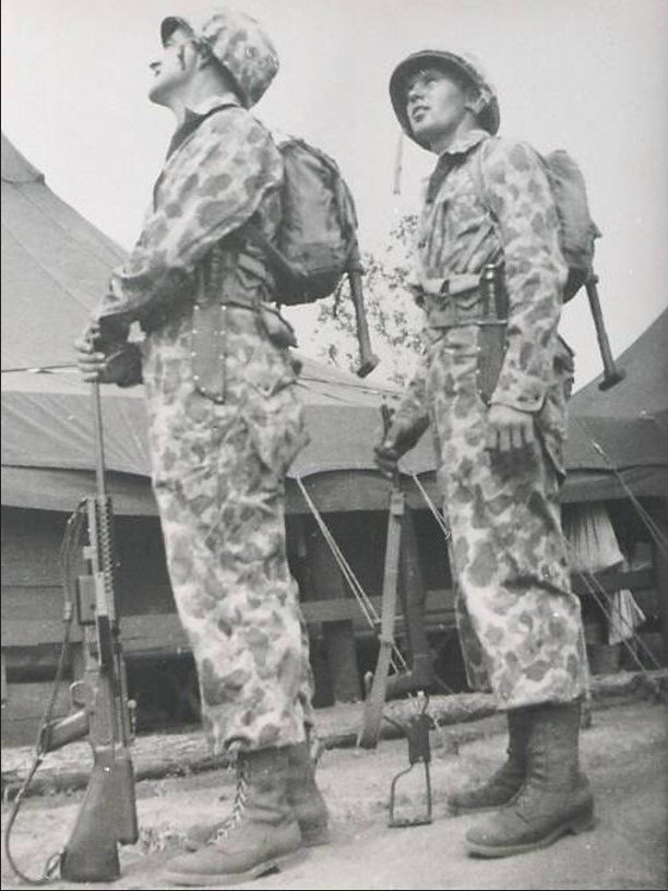 camo pacific 3.jpg