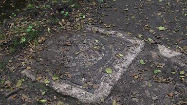 PIC_0045.JPG