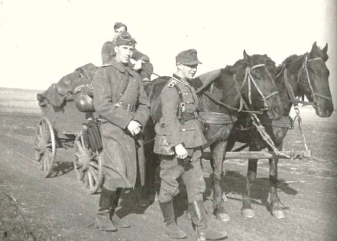 Image1.jpg