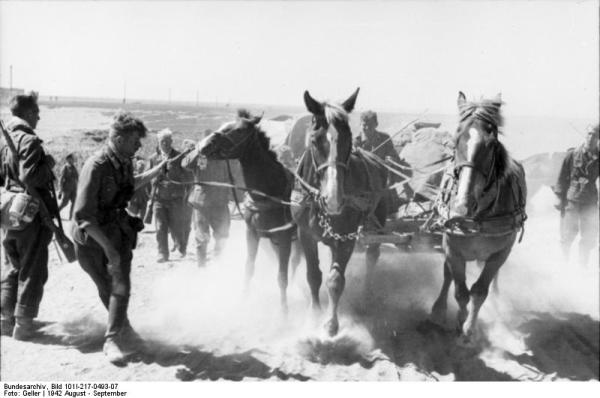 Bundesarchiv_Bild_101I-217-0493-07,_Russland-Süd,_bespannte_Einheit.jpg