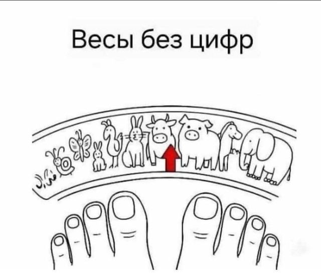 FB-IMG-1749294564603.jpg