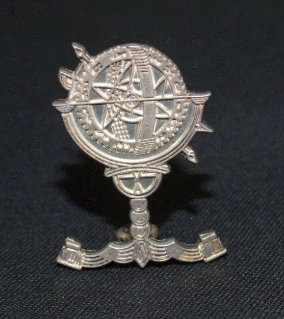 ppa beret badge.gif