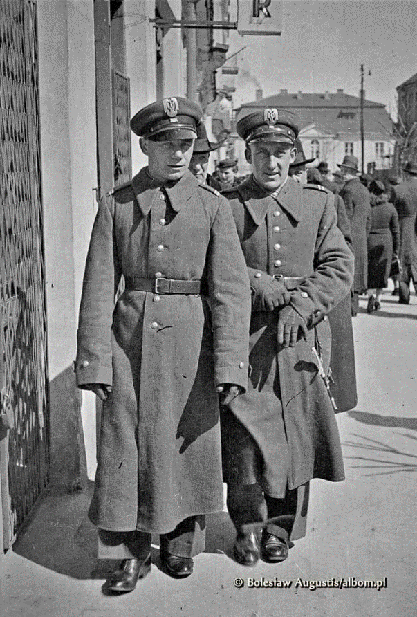 pol av.gif