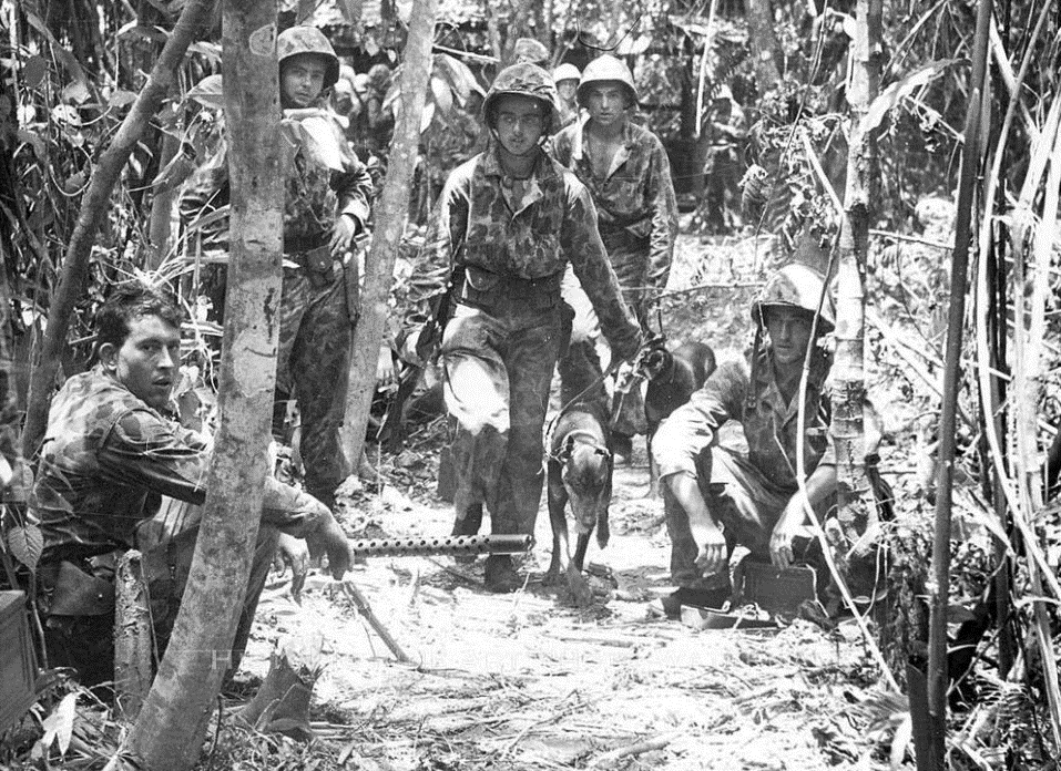 usmc raiders chien.gif
