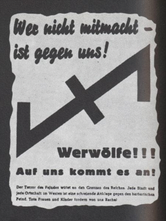 wer 1.gif