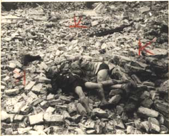 N°6.png