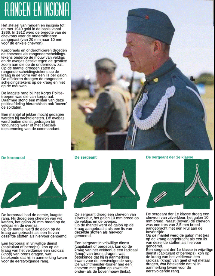 politie insignia 1.gif