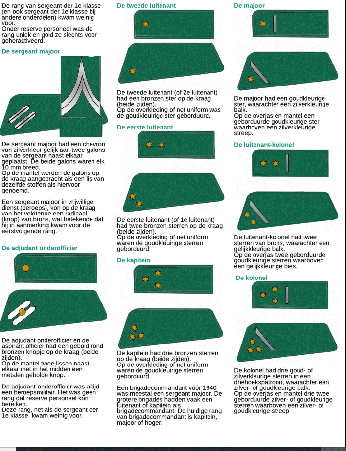 politie insignia 2.gif