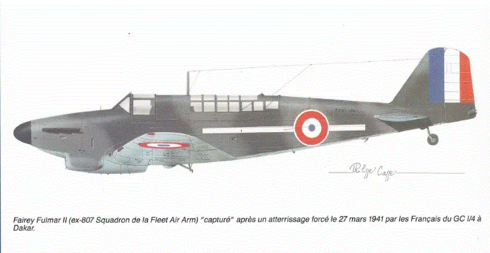 fulmar prof.gif