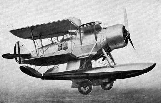 ro43-folded-wings.jpg