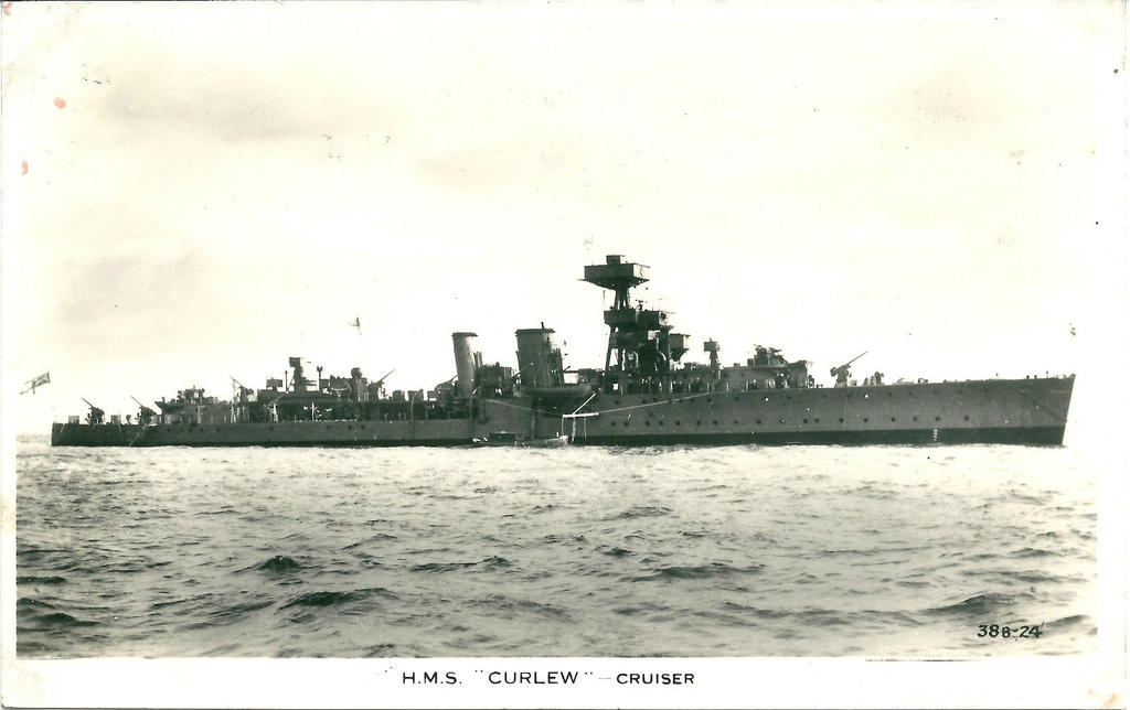 curlew10.jpg