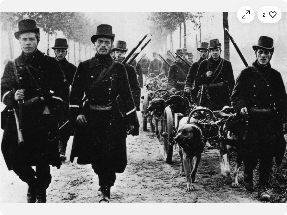 Screenshot 2026-03-08 at 18-30-19 WW1 - Guerre 14_18 - Carabiniers belges et attelages mitrailleuse_chiens eBay.png