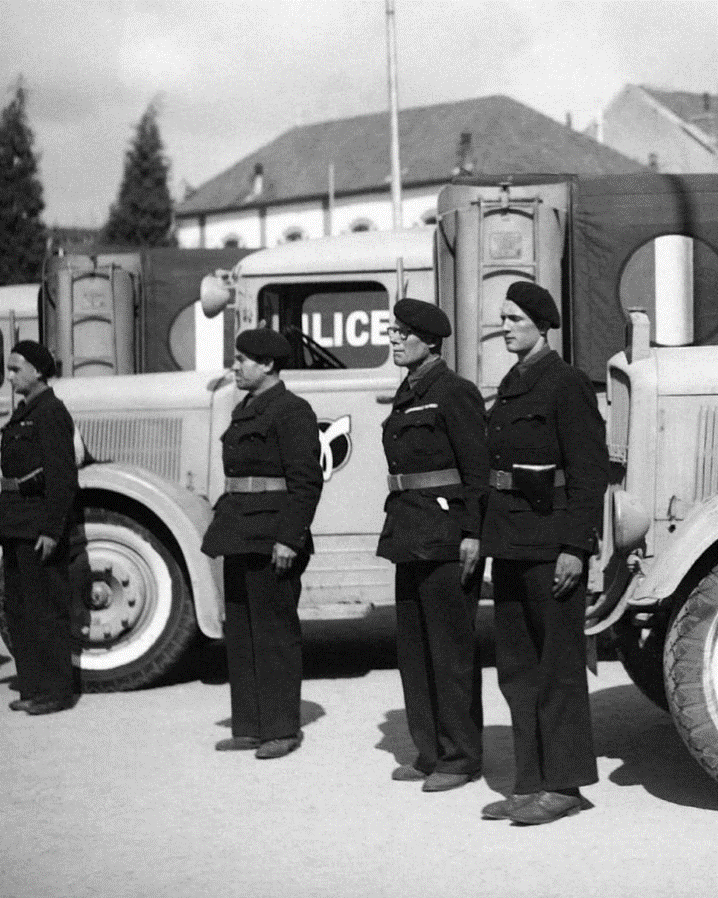 éclectique.gif