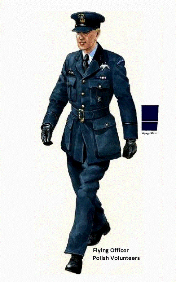 polish flying officer.gif