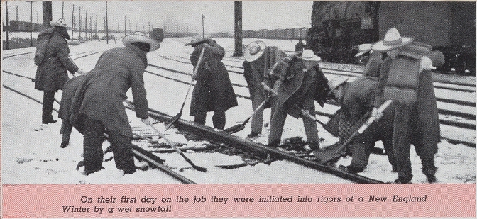 shovel.jpg