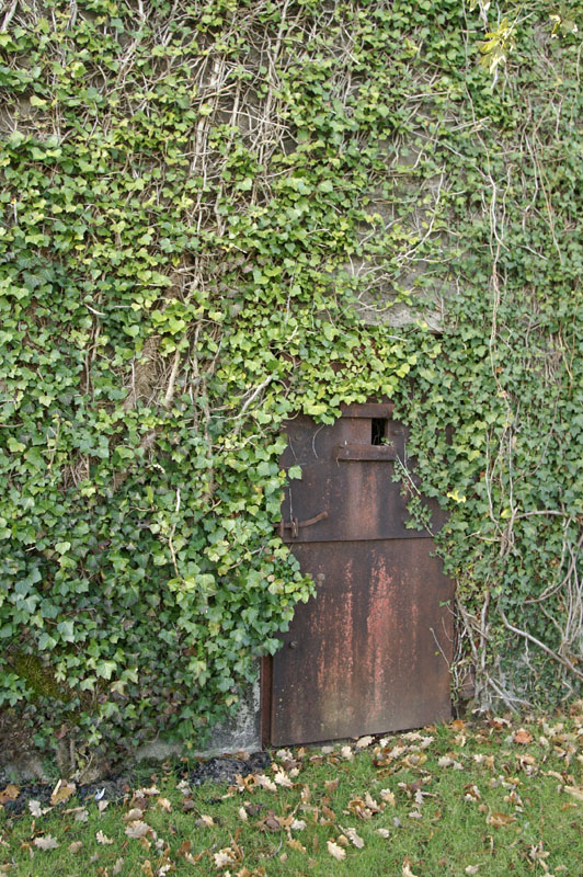 Redon1-07.JPG