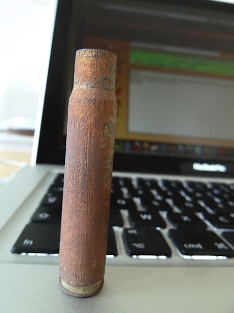 P1020518.jpg