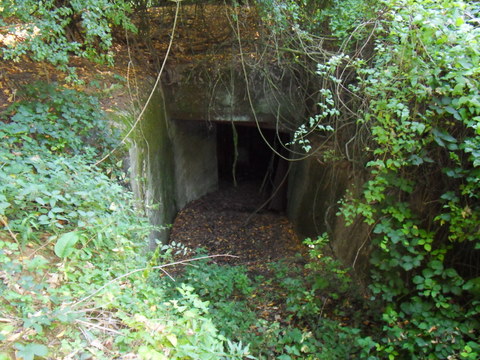 bunker margival 083-1.JPG