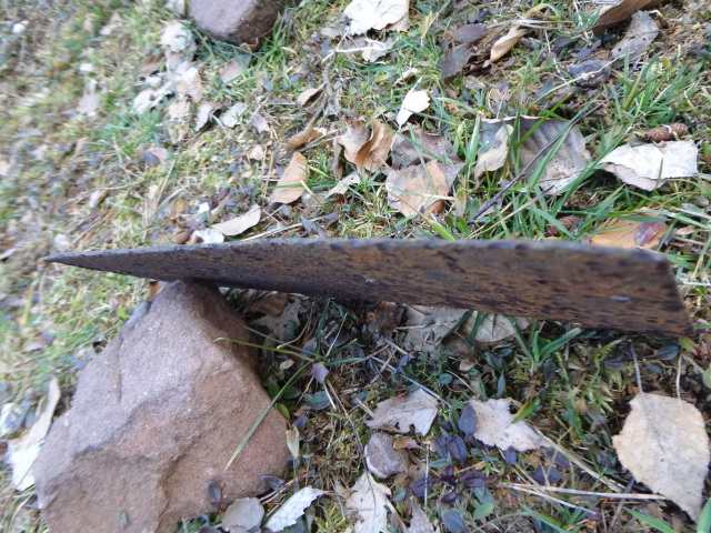 DSC01772.JPG