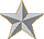 Brigadier General