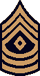 Sergeant Major